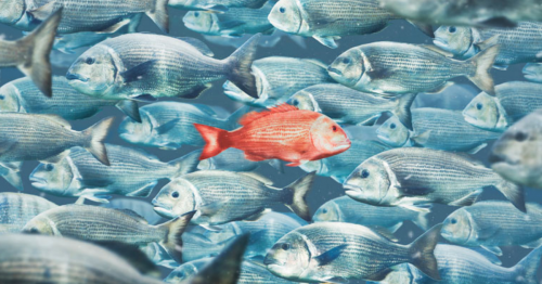 Újévi fogadalmak helyett, van sokkal hatékonyabb módszer!