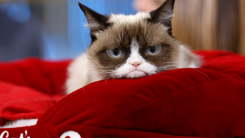 A negatív gondolkodás a társkeresésre is kihat, de tehetsz ellene.