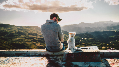 Bízd az ismerkedést a kutyádra!